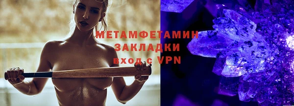 прущие грибы Тавда