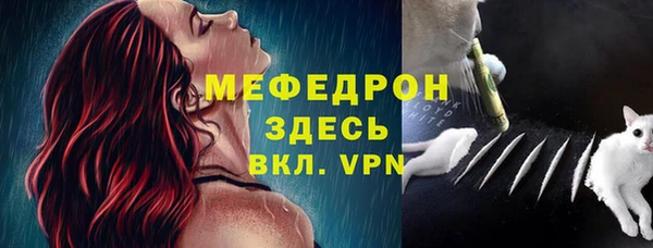 гидра Аркадак