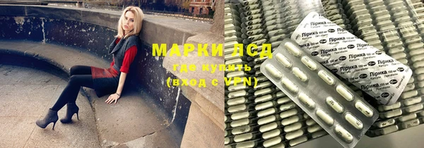 гидра Аркадак
