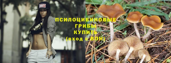 гидра Аркадак