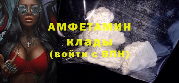 гидра Аркадак