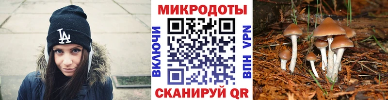 Галлюциногенные грибы Psilocybe  Таруса 